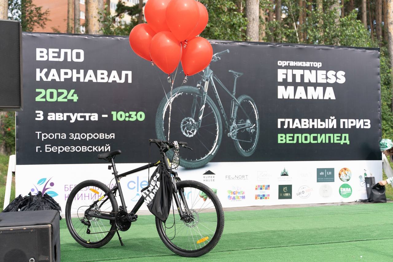 Момент предыдущего Велокарнавала 4